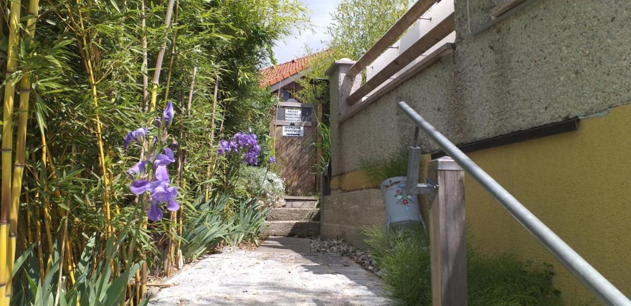 Ferienwohnung Wiesmuehlstrasse Henndorf am Wallersee Dış mekan fotoğraf