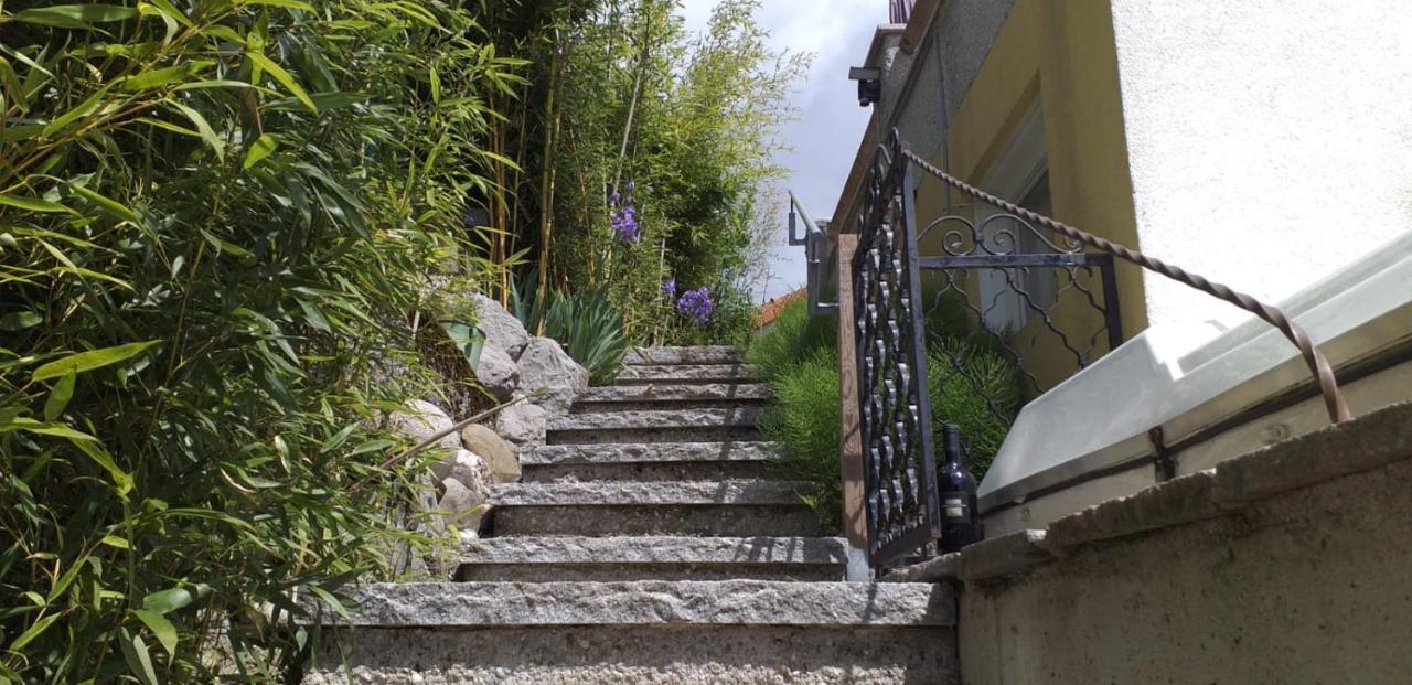 Ferienwohnung Wiesmuehlstrasse Henndorf am Wallersee Dış mekan fotoğraf